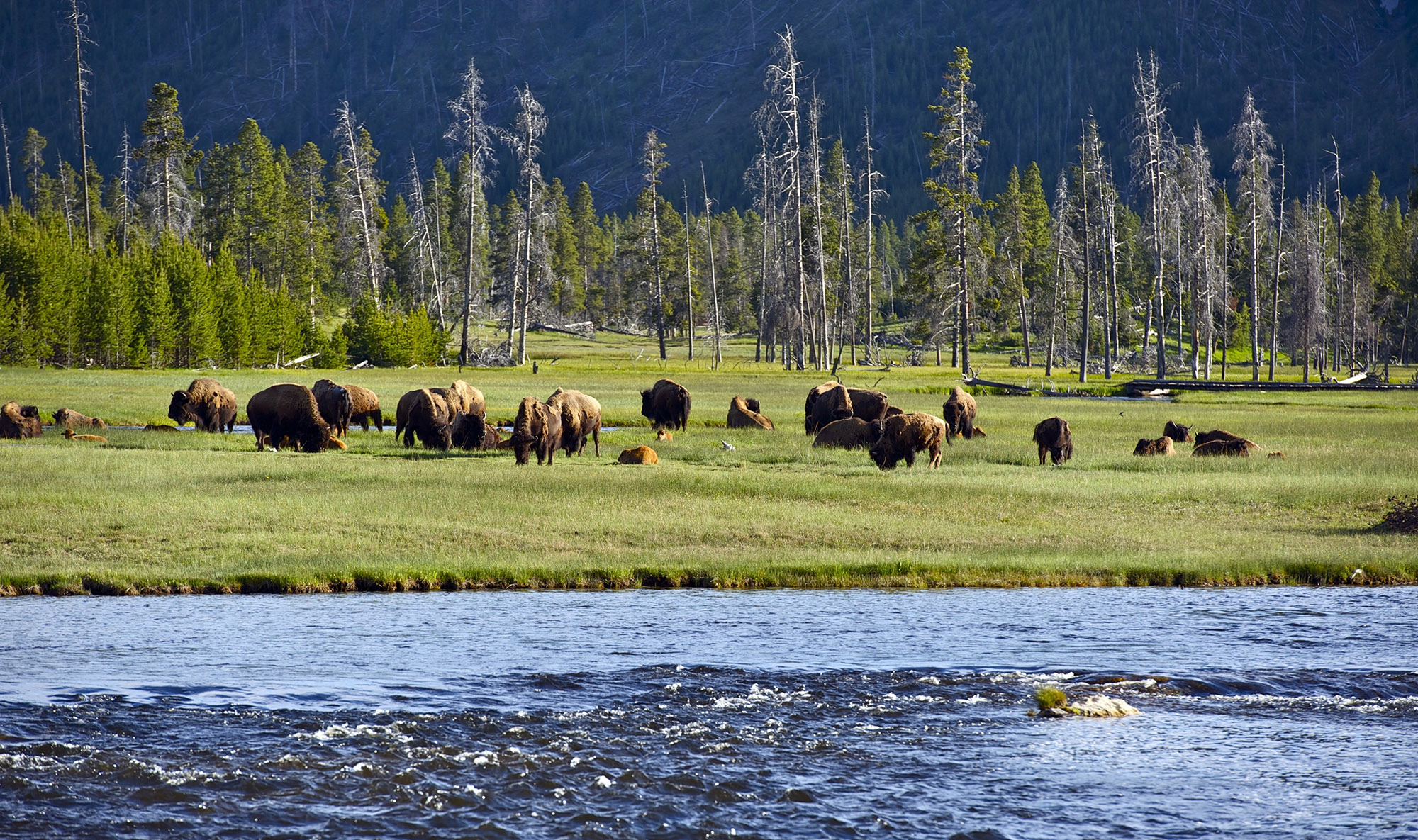 Yellowstone National Park Wyoming United States National Parks Wonders