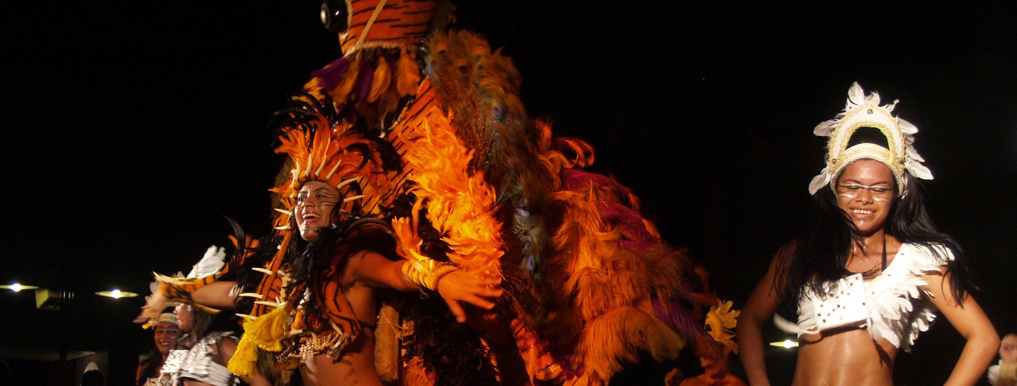 South America Brazil Samba Feathers Dancers Night