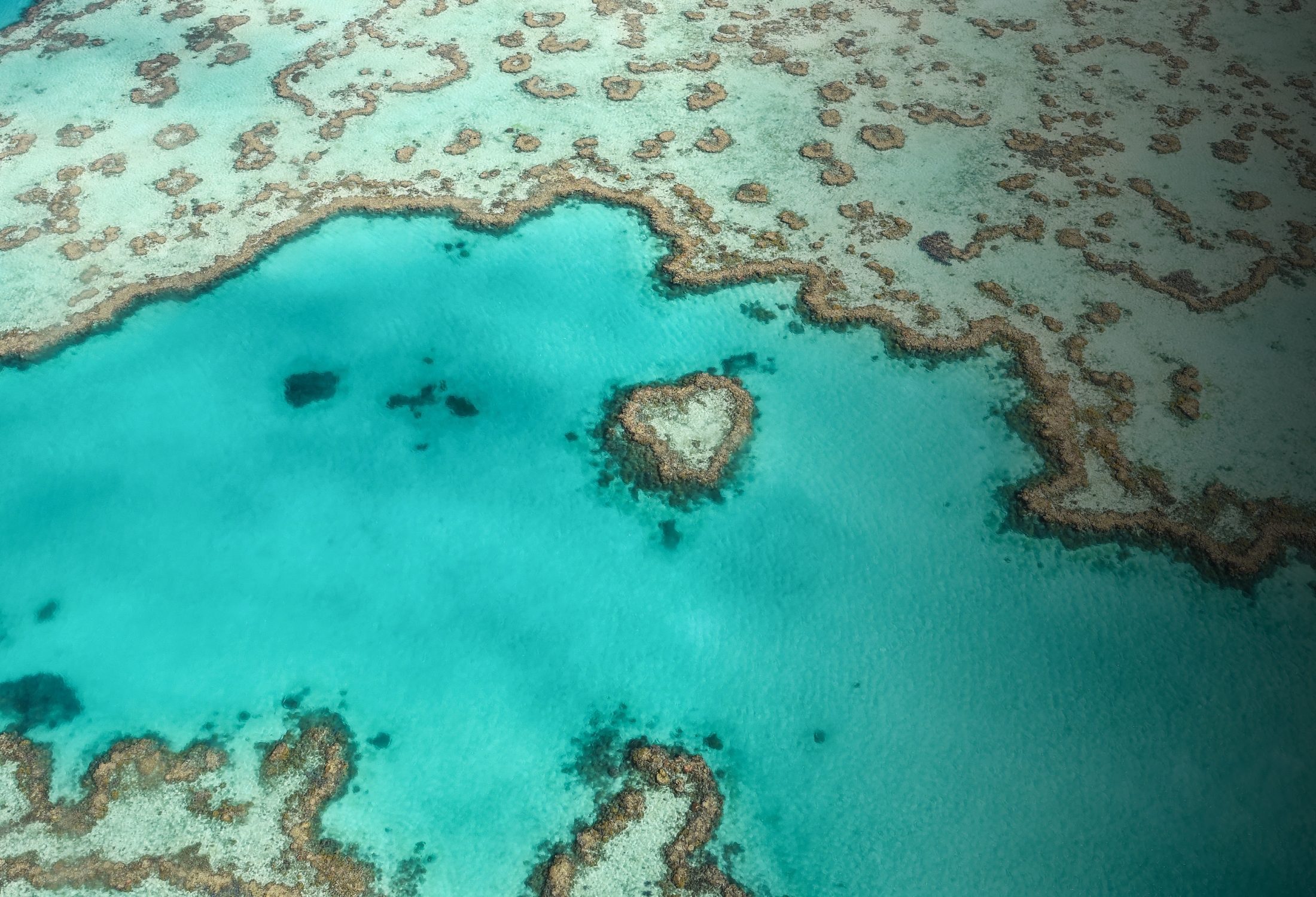 Australia Great Barrier Reef Aerial Heart Fish Tinted