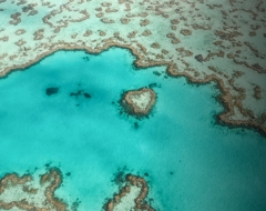 Australia Great Barrier Reef Aerial Heart Fish Tinted