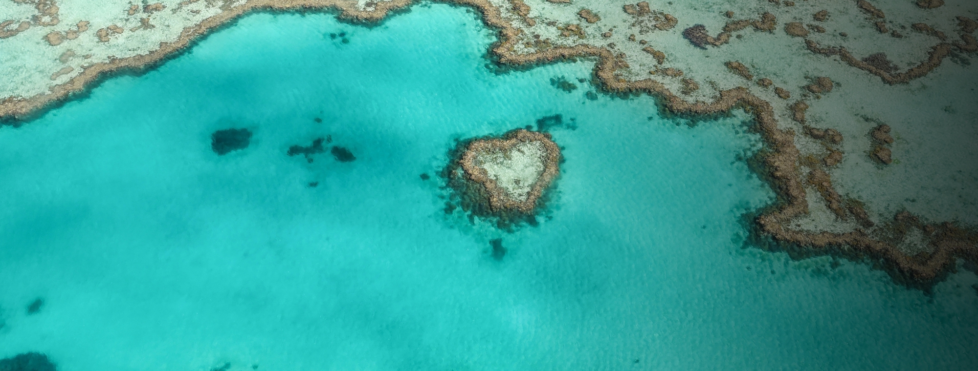 Australia Great Barrier Reef Aerial Heart Fish Tinted