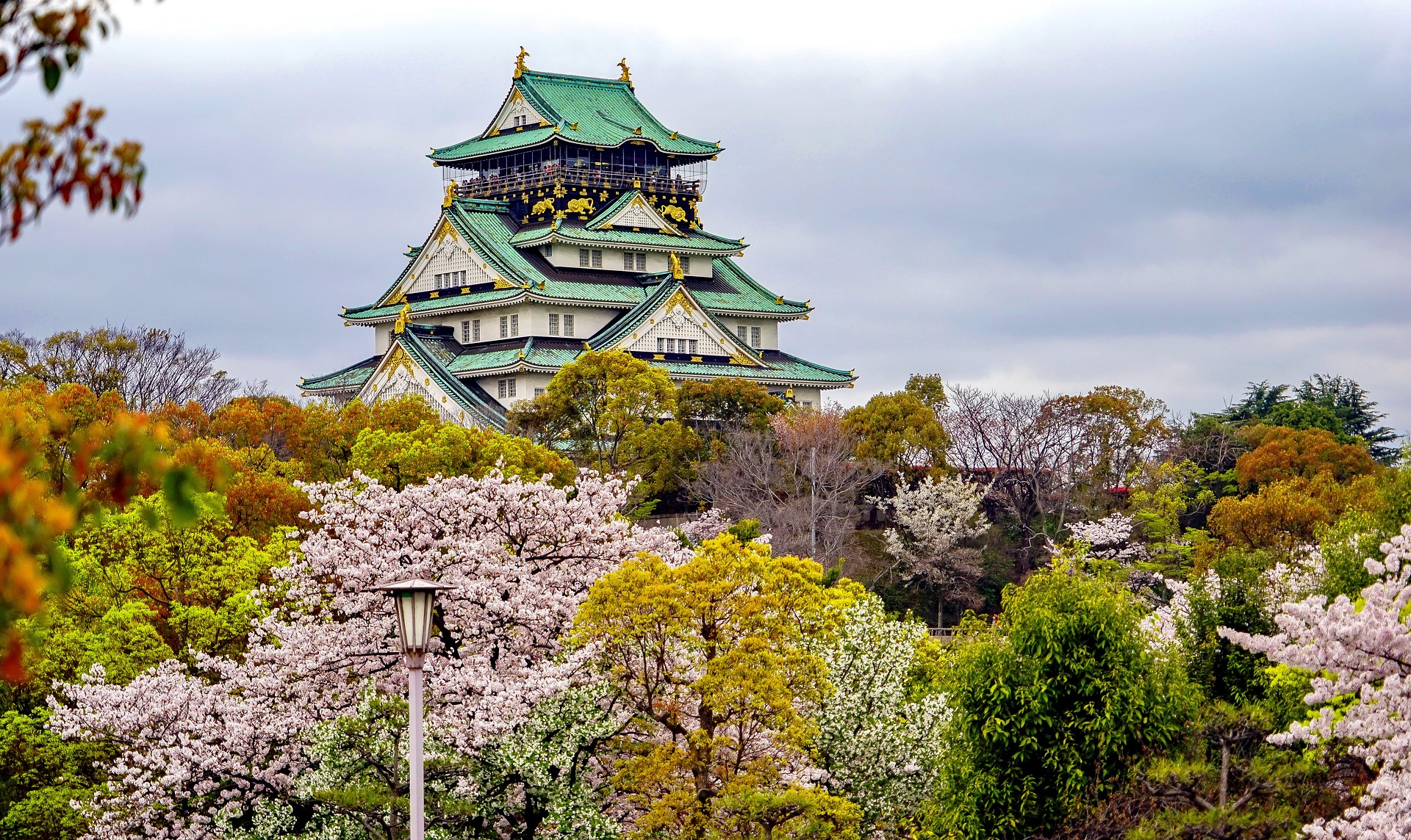 Cherry blossoms bloom in Osaka, Japan, a trending travel destination this year