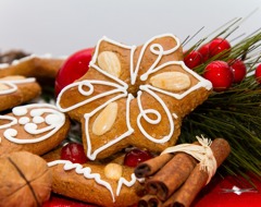 Expert Travel Advice Traditional Lebkuchen Recipe Classic German Gingerbread Christmas Holiday Winter Icing Cookies Fruit Nuts Cinnamon