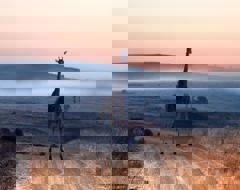 Africa South Africa Animal Giraffe