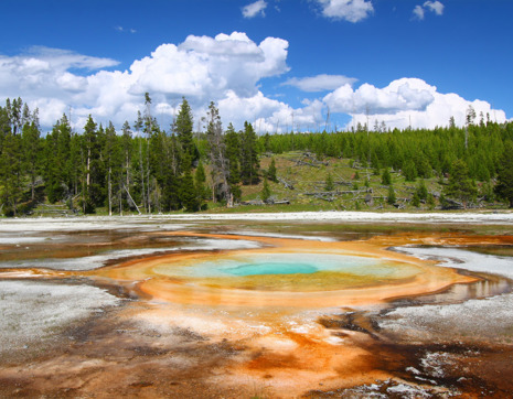 Usa Wyoming Yellowstone National Park Hot Springs