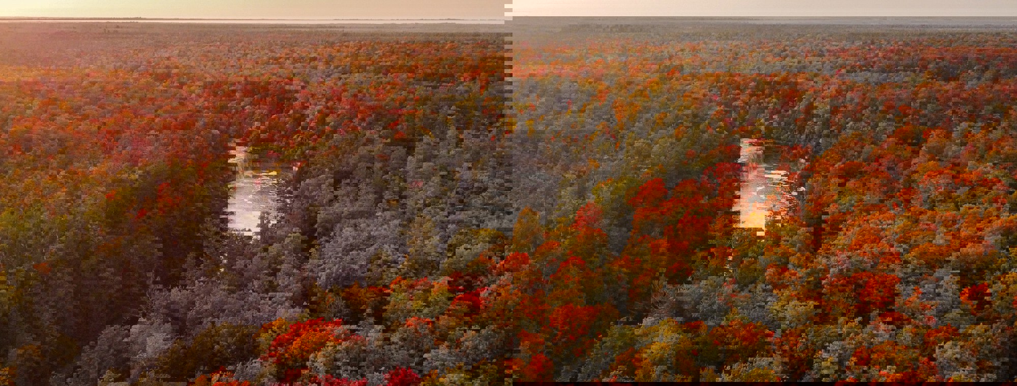 Usa Fall Colors Trees River Waterfall Leaves Red Gold Yellow