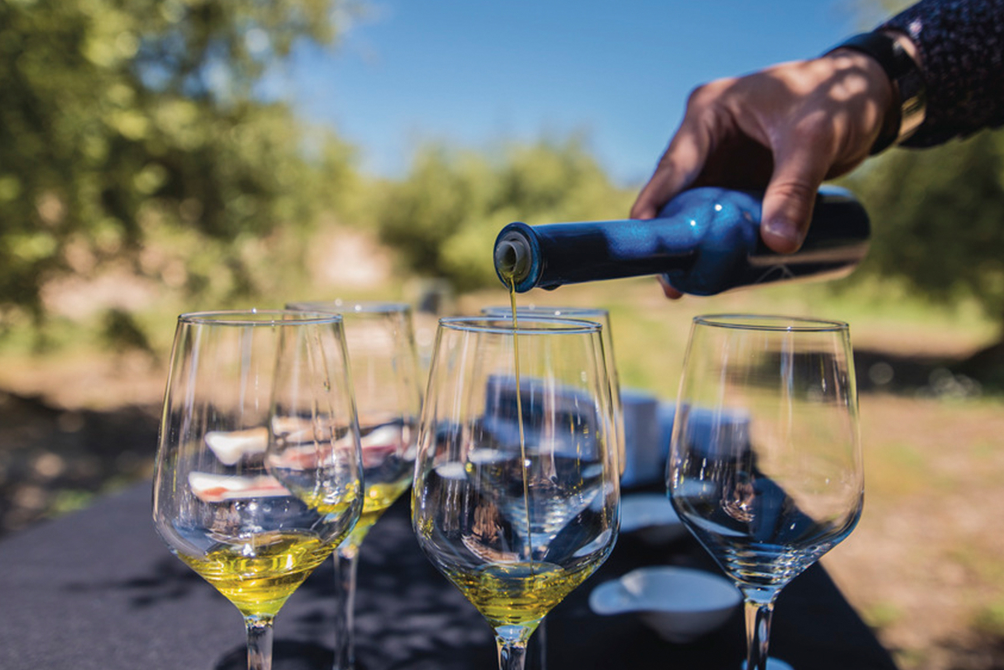 Spain Barcelona Olive Oil Tasting At Hola Olive