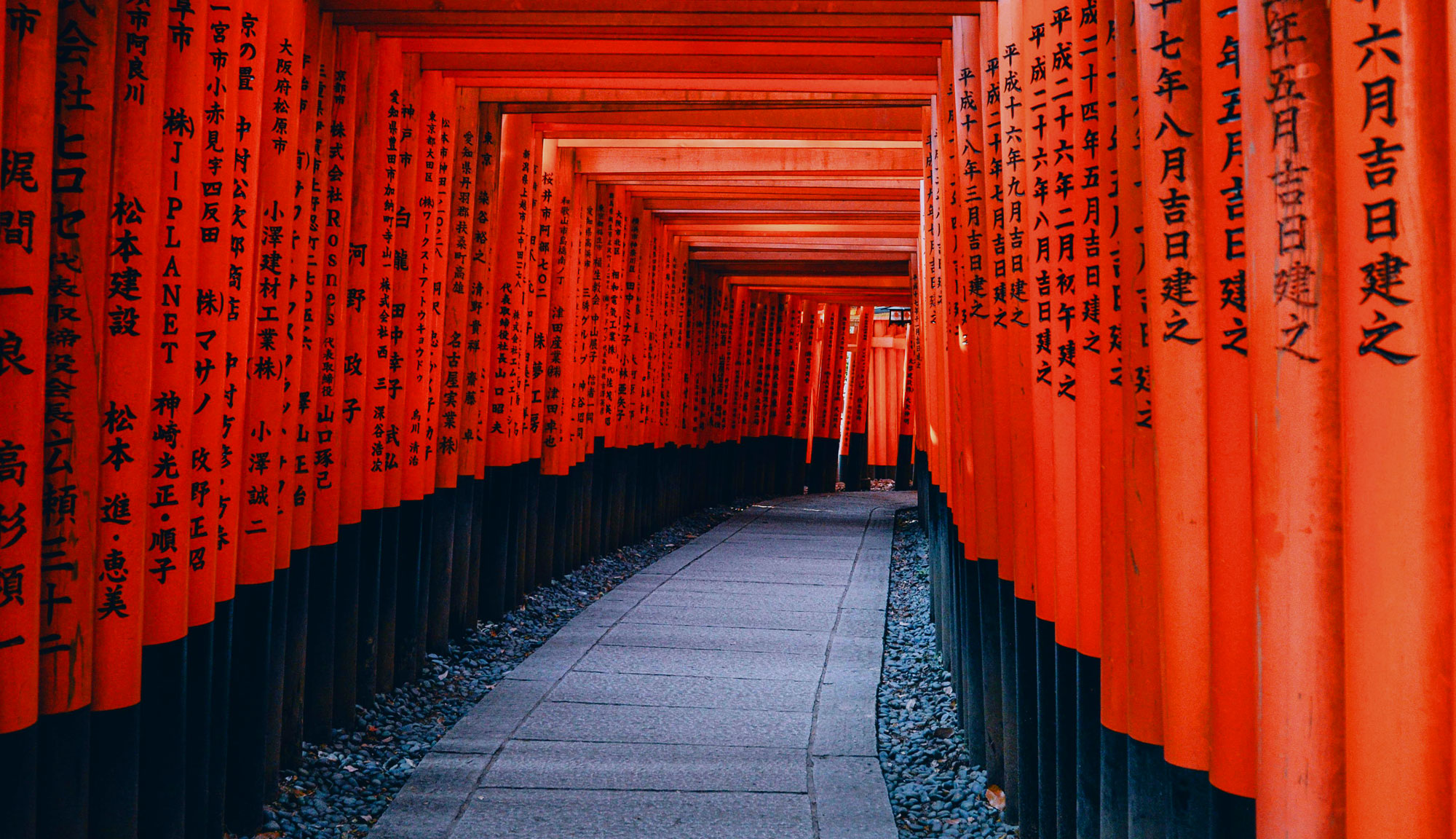 Asia Tours Fushimi Inari Taisha Torii Gates Kyoto Japan