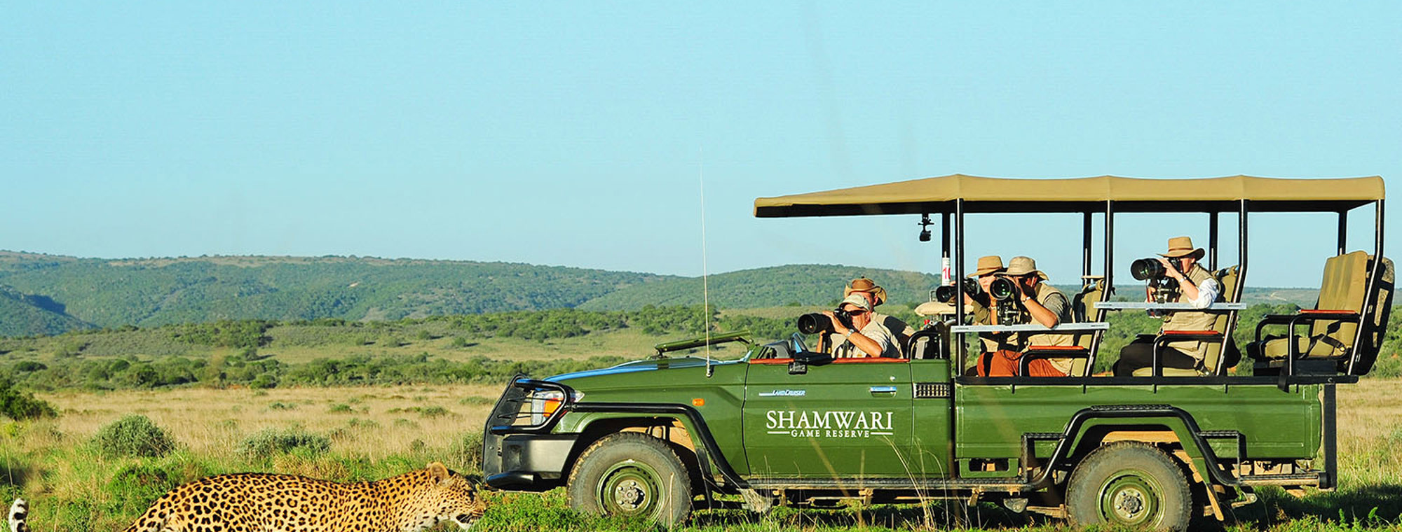 South Africa Shamwari Safari Leopard (1)