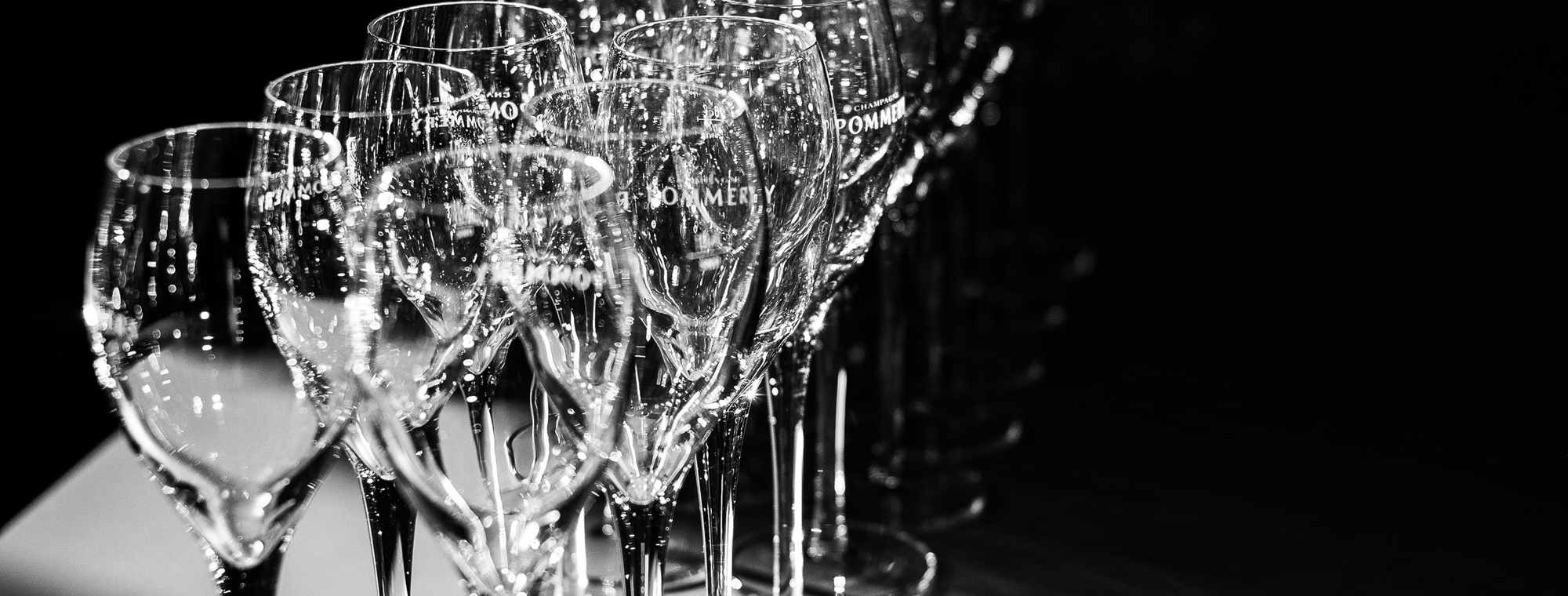 Expert Wine Stemware Black White Glasses Glass