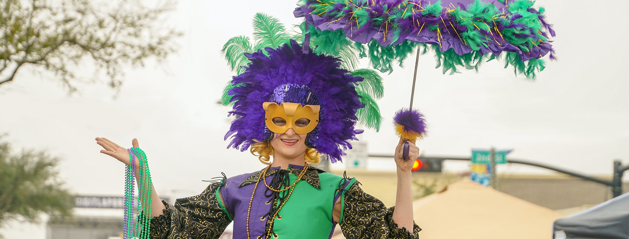 Usa Louisiana New Orleans Mardi Gras Woman Mask Expert