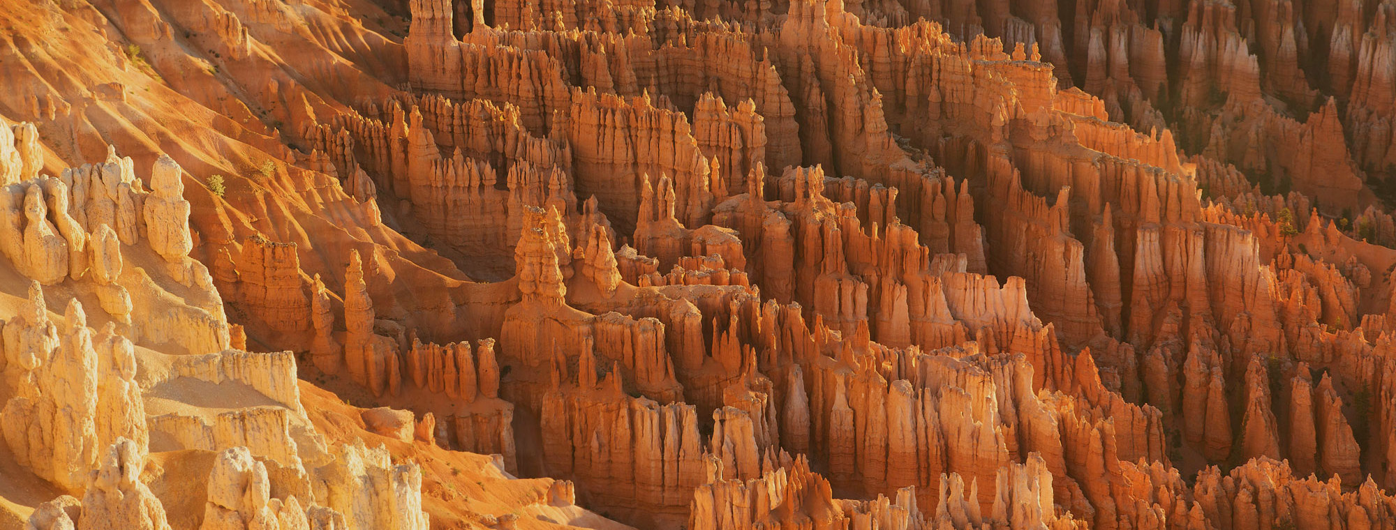 North America Tours Bryce Canyon National Park Utah Usa