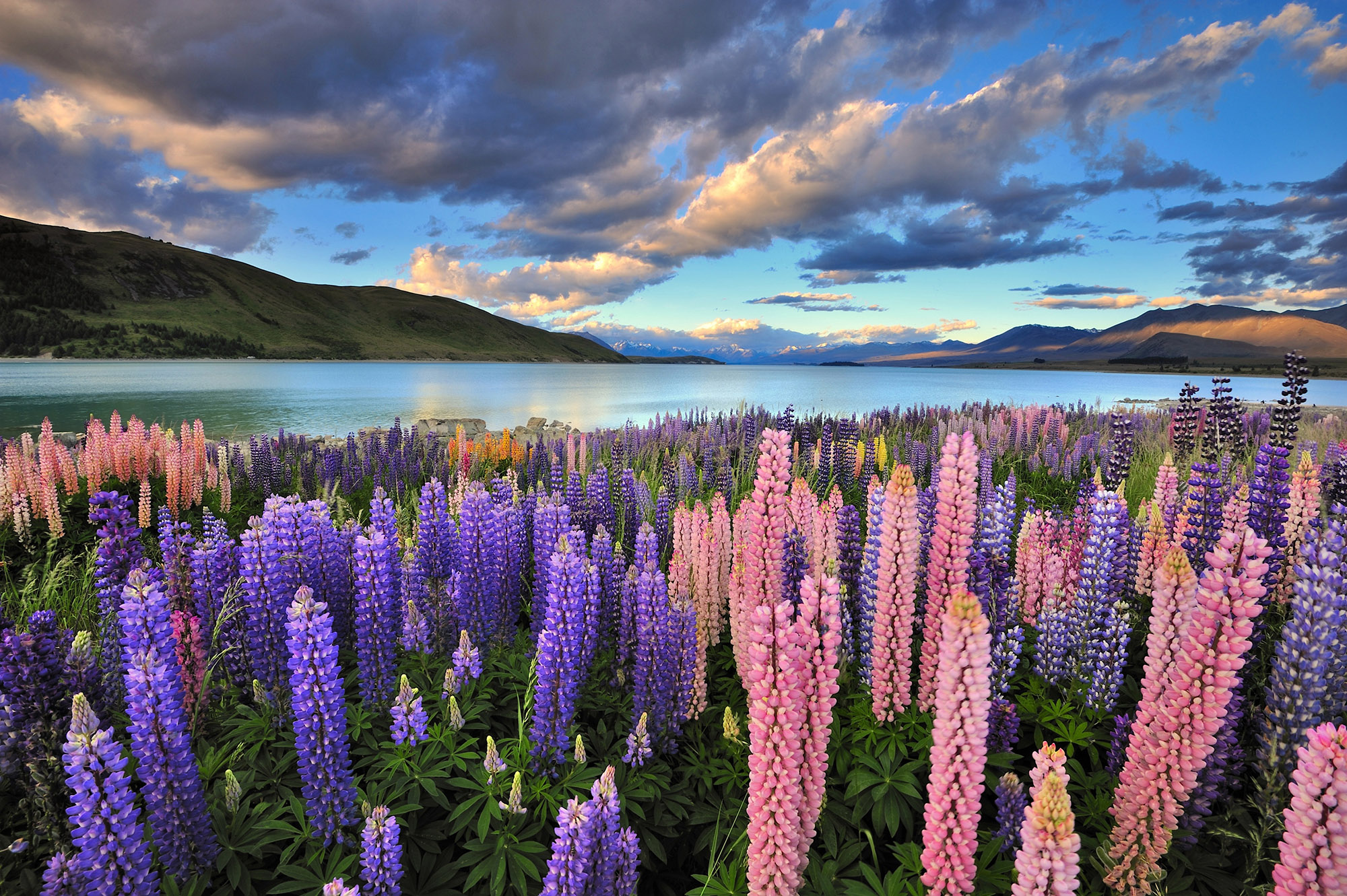 New Zealand Lake Tekapo