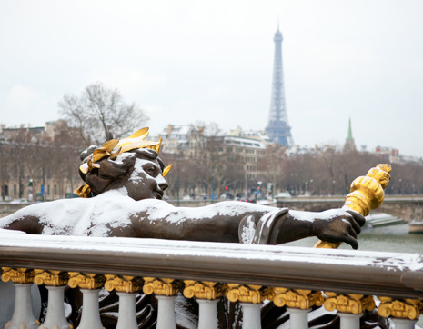 France Paris Alexander Bridge In Winter (1)