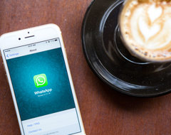 Expert Whatsapp Using Cellphone Mobile Abroad
