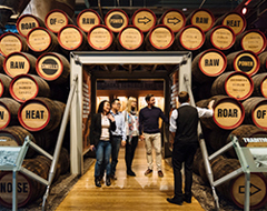 Expert History Guinness Factory Tour