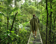Costa Rica Monteverde Skywalk