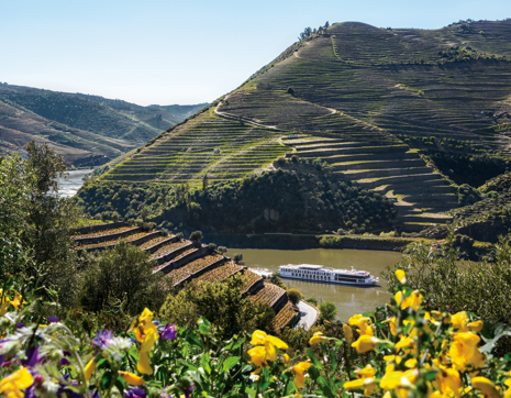 Portugal Douro Valley Cruise Vineyards Uw Qi Exterior Dourovalley 0440