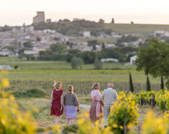 France South France Chateauneurf Du Pape Vineyard Iv