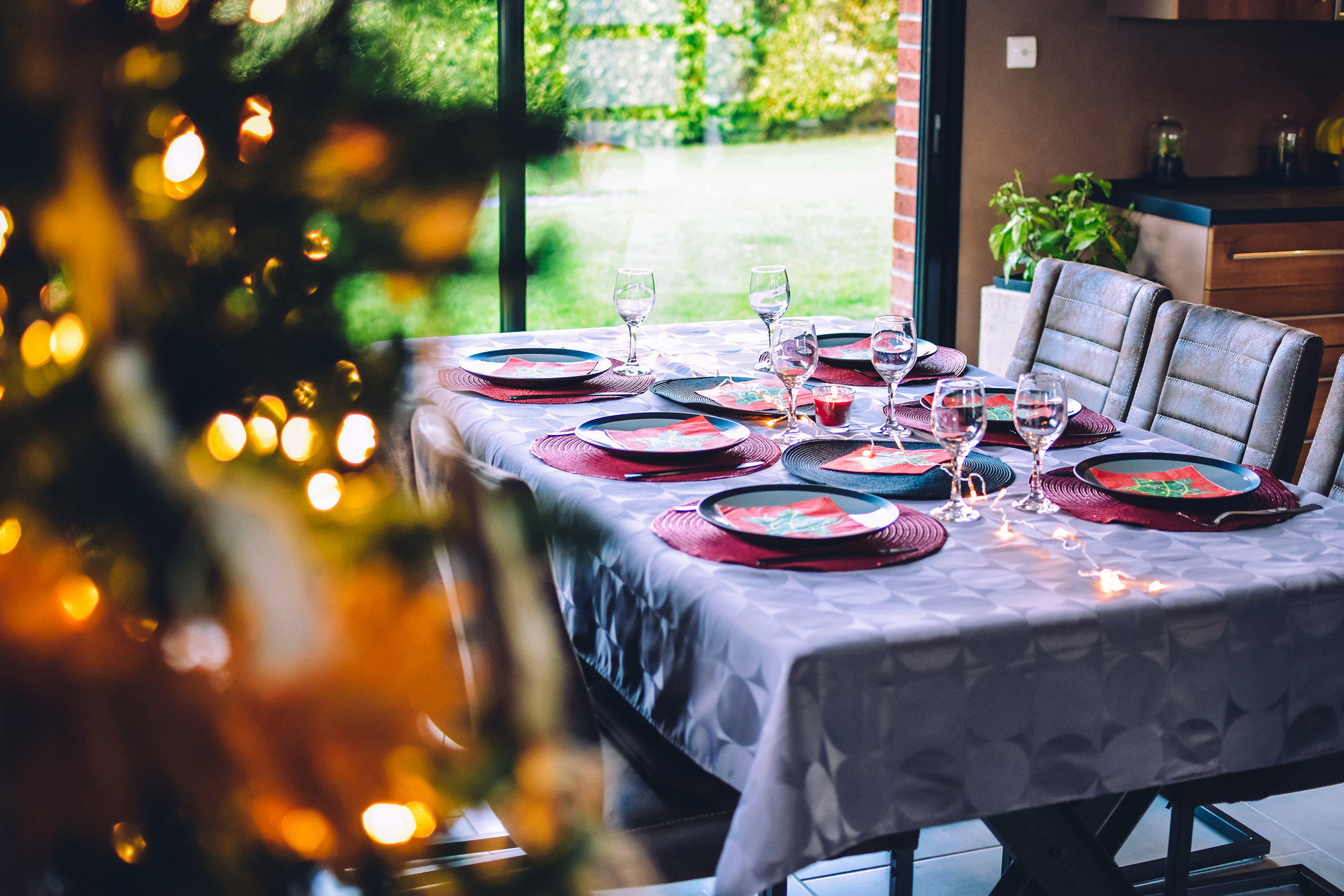 Expert Food Meal Christmas Table Tree Plates Dinner Lunch