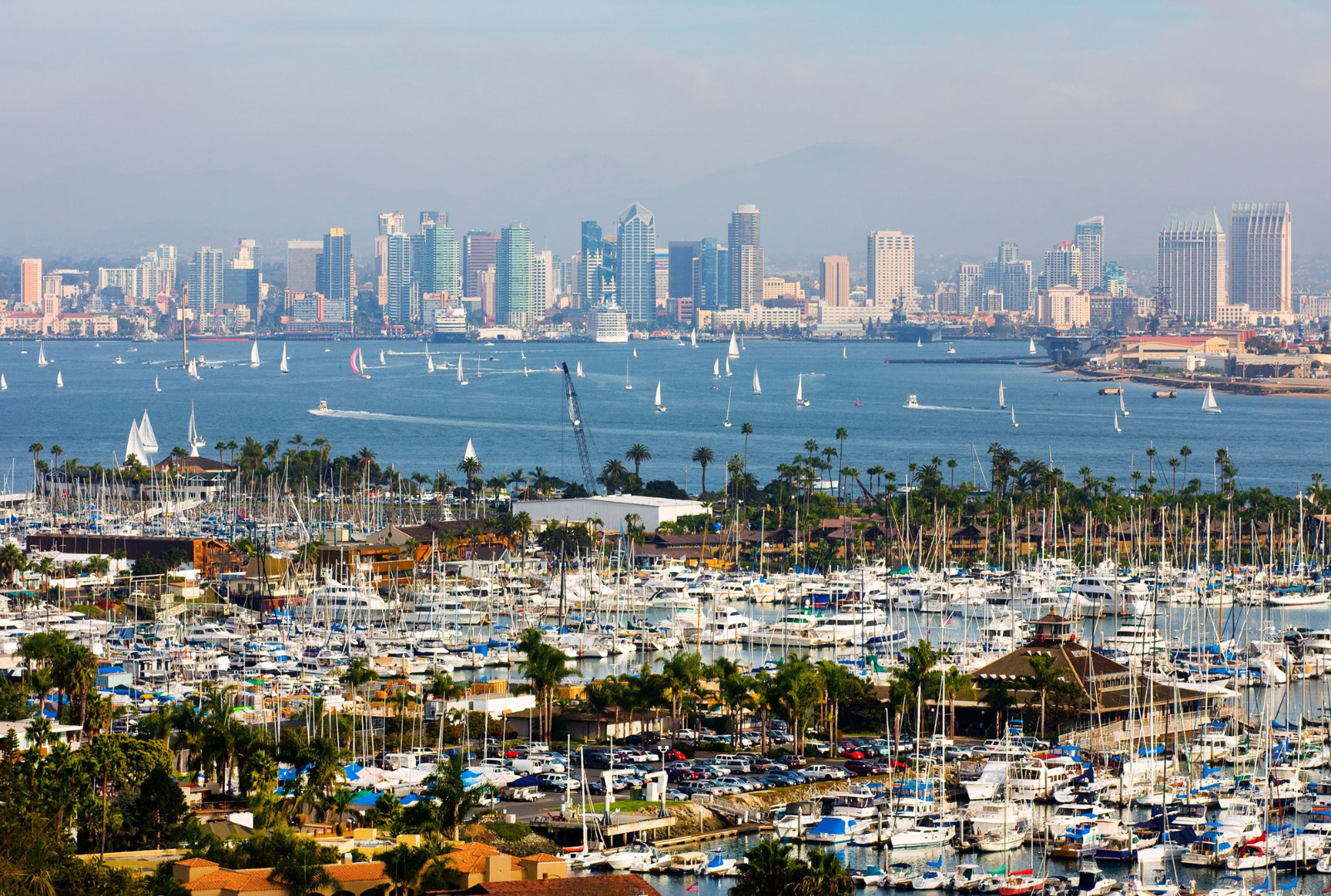 Usa California San Diego Harbor City View