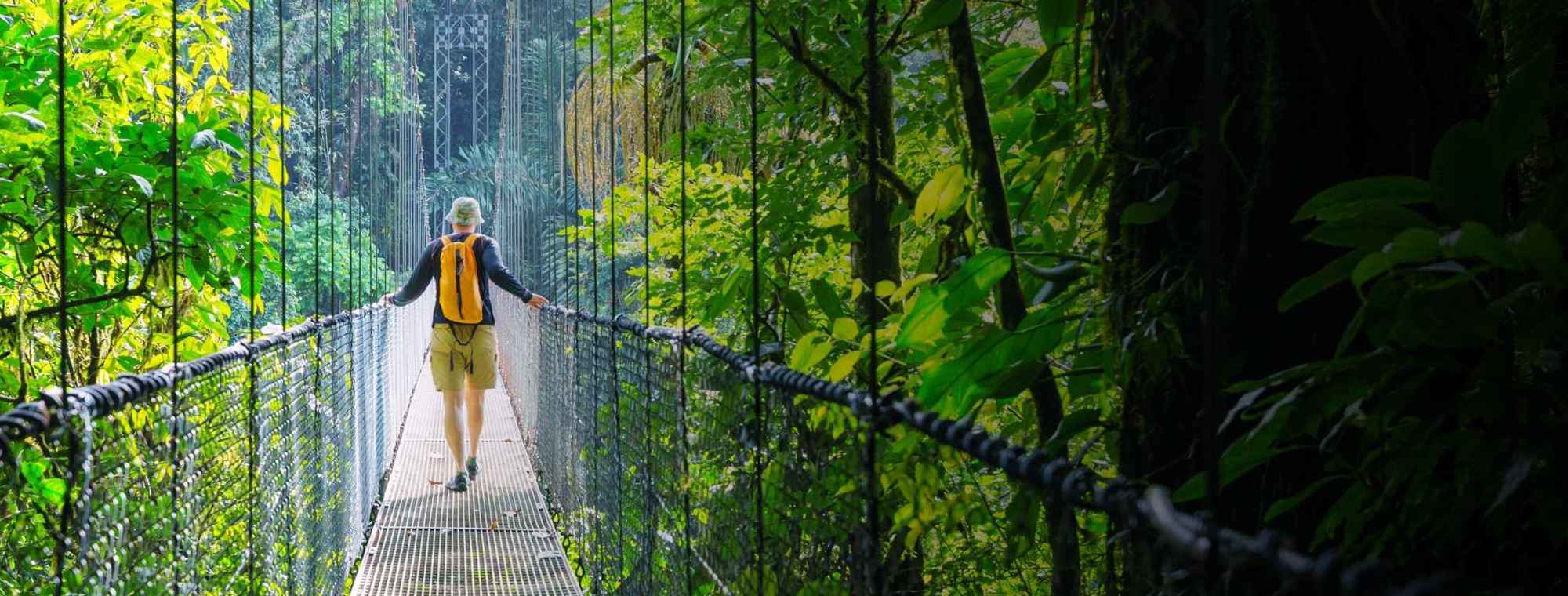 Costa Rica Monteverde Cloud Forest Bridge Traveler Nature Tours Outdoor Enthusiast Rainforest Travel Guided Trips Tinted