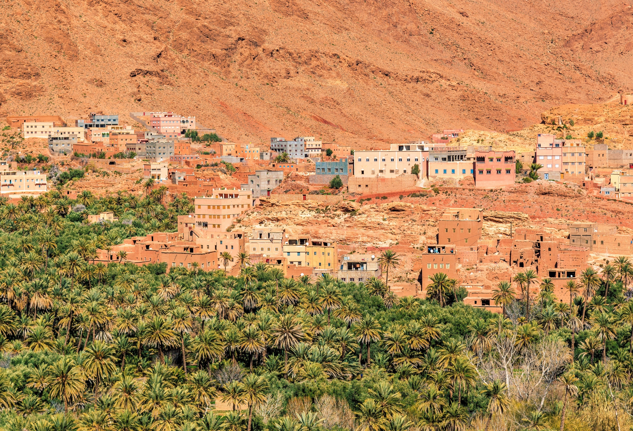 Morocco Tinghir Oasis Desert Palms