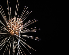 Expert Fireworks Night Sky Black Sparks Fete Nationale