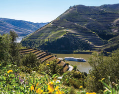 Portugal Douro River Valley With Ship In View