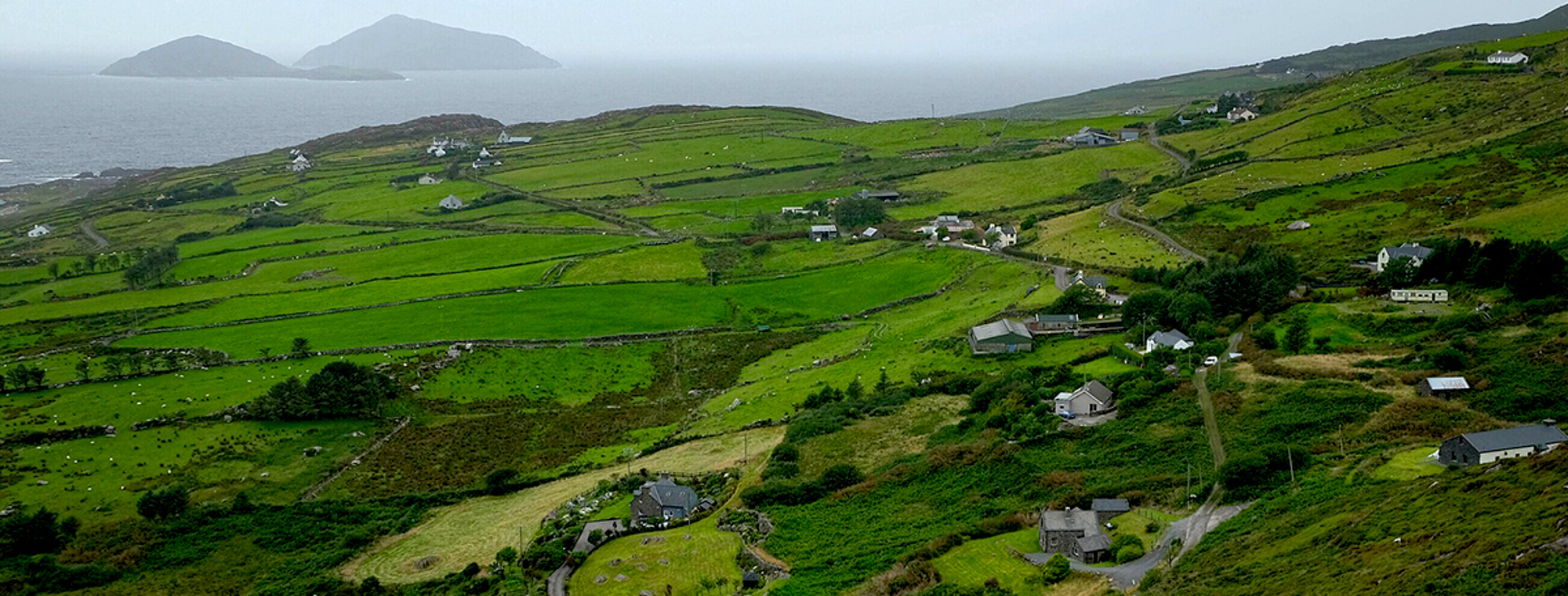 Ireland Ring Of Kerry Fields Coast Farm Expert