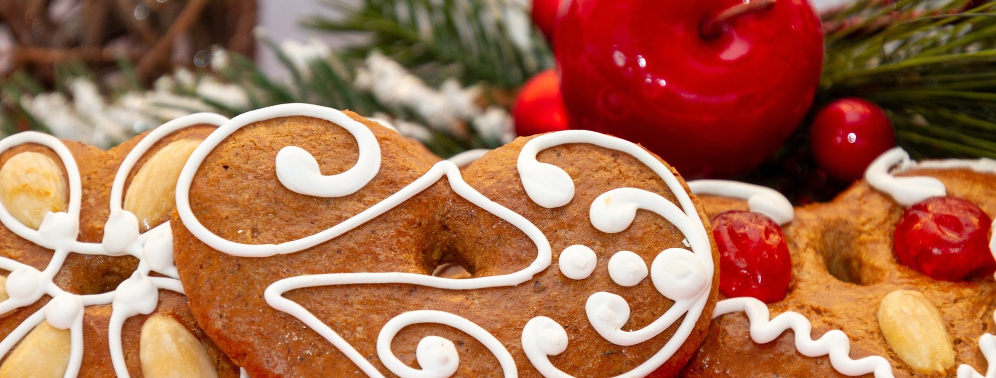 Expert Travel Advice Traditional Lebkuchen Recipe Classic German Gingerbread Christmas Holiday Winter Icing Cookies Fruit Nuts