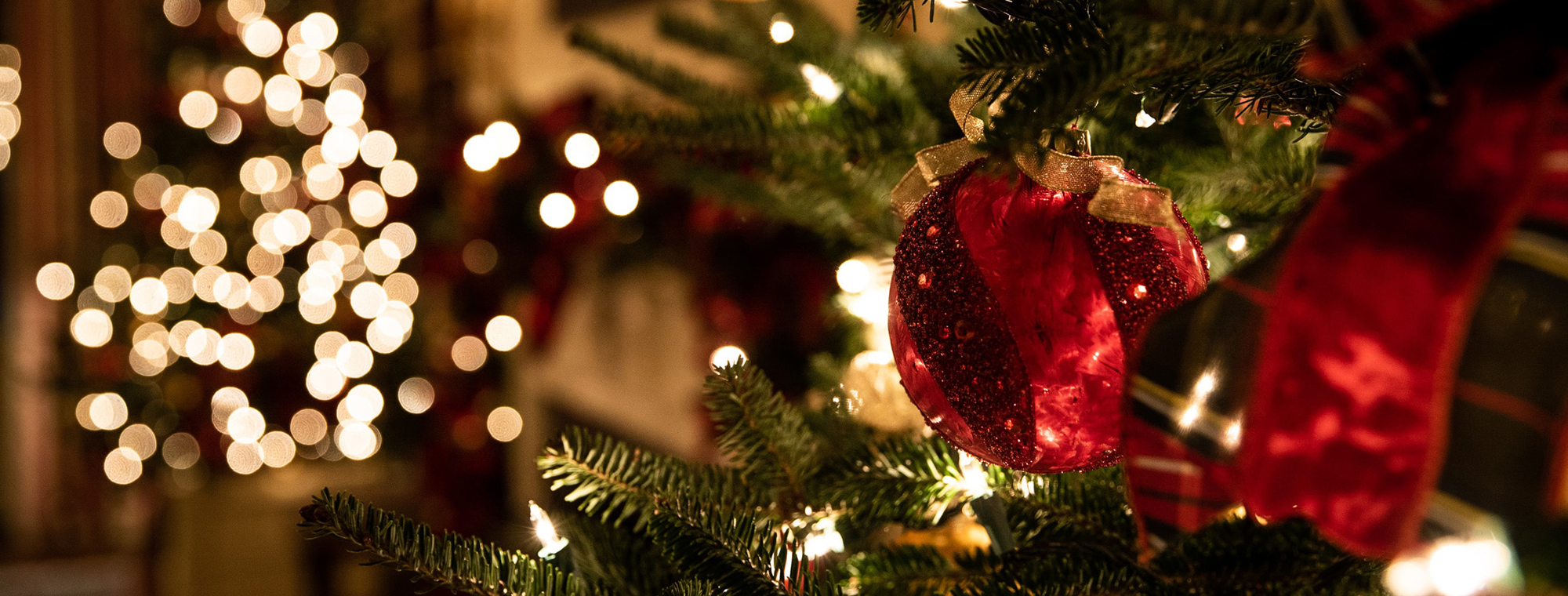 Christmas Tree Lights Orniments Expert