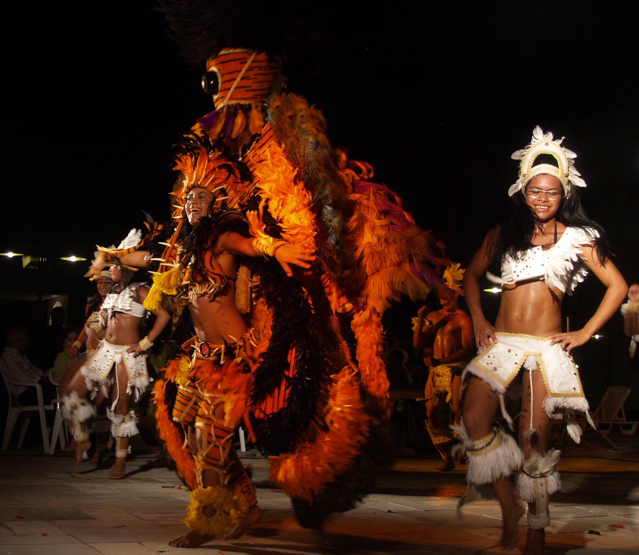 South America Brazil Samba Feathers Dancers Night (1)
