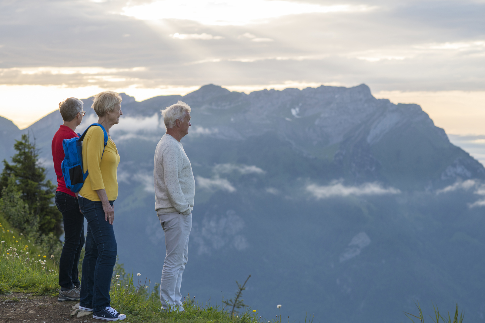 Switzerland Mountain Top Guests View Looking Out Iv Expert