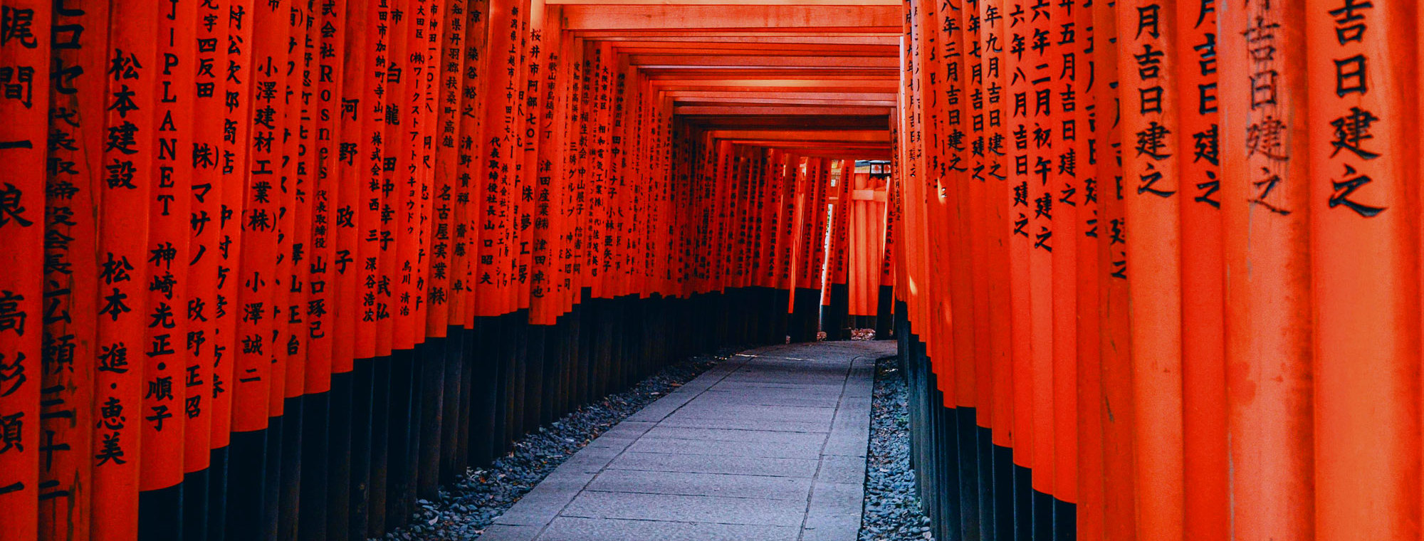 Asia Tours Fushimi Inari Taisha Torii Gates Kyoto Japan