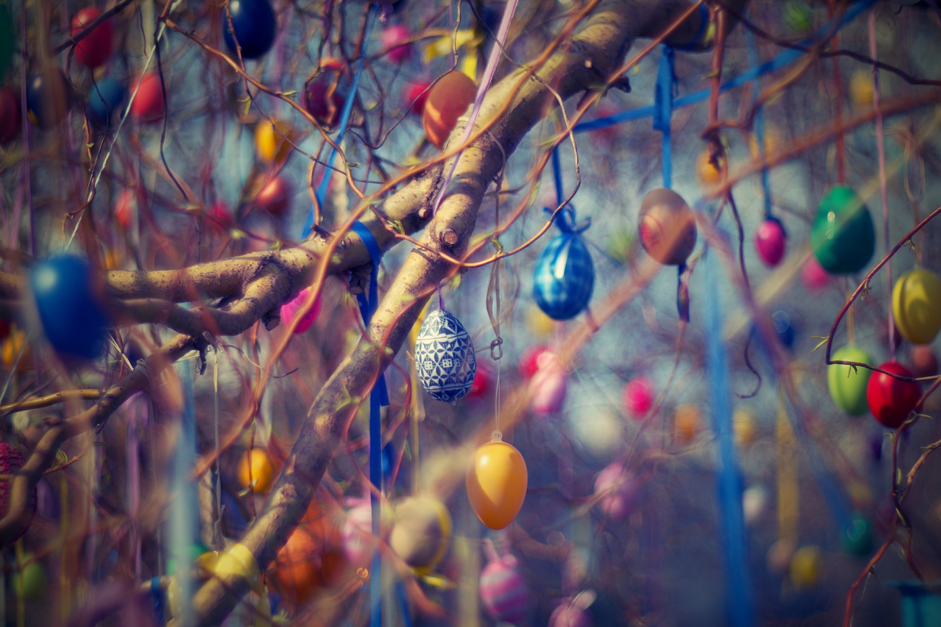 Germany Easter Egg Tree Tradition Colorful