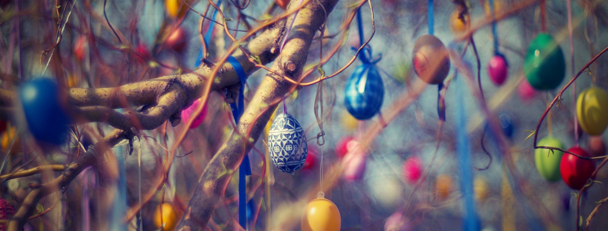 Germany Easter Egg Tree Tradition Colorful