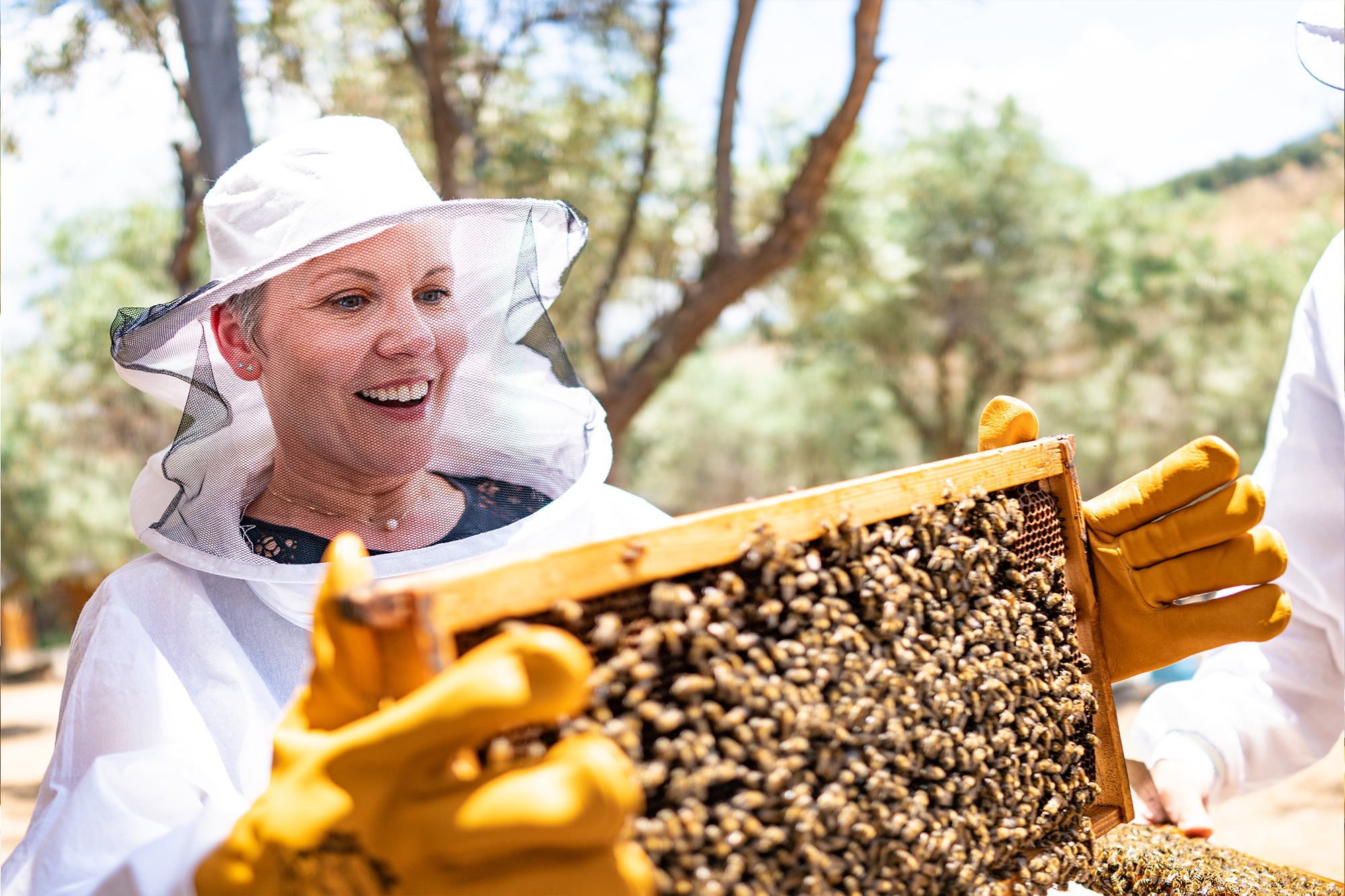 Expert Mtm Make Travel Matter Treadright Greece Delphi Woman Honeycomb Beekeeping At Moka Honey Experience Travel Advice Respsonsible