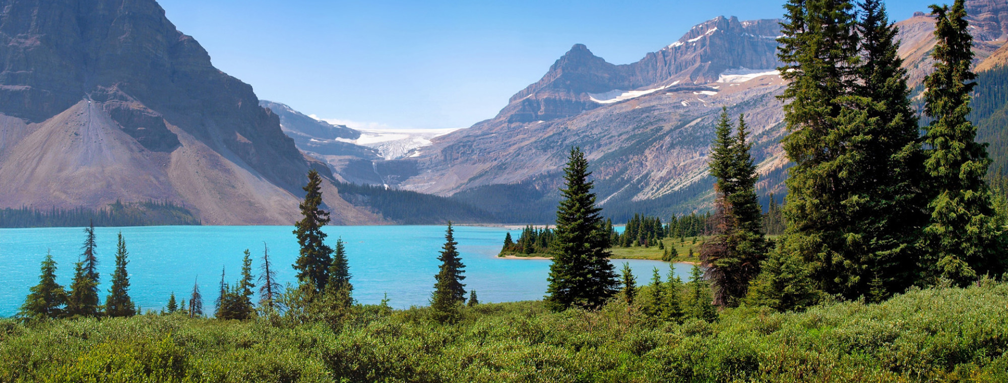 Canada Lake Louise With Trees Wide
